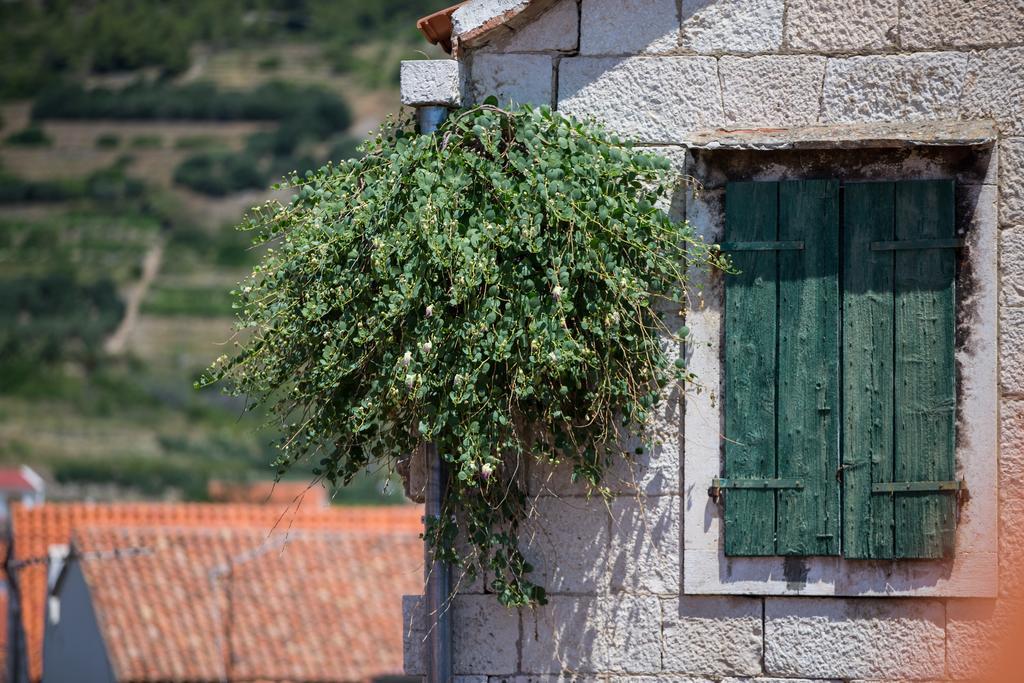 Apartments Villa Anka Komiža Dış mekan fotoğraf